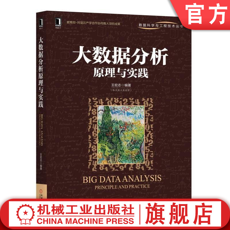 大数据分析原理与实践王宏志数据科学与工程技术丛书机械工业出版社