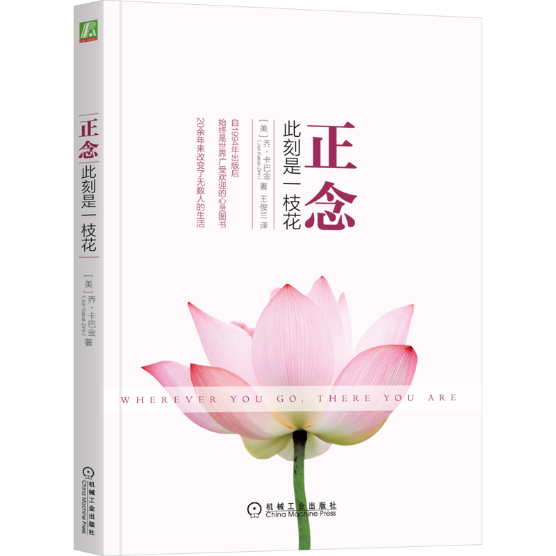 官网正版 正念 此刻是一枝花 乔 卡巴金 心理学 正念之道 冥想精髓 正知 正能量 平静 人生哲学通俗读物 机械工业出版社