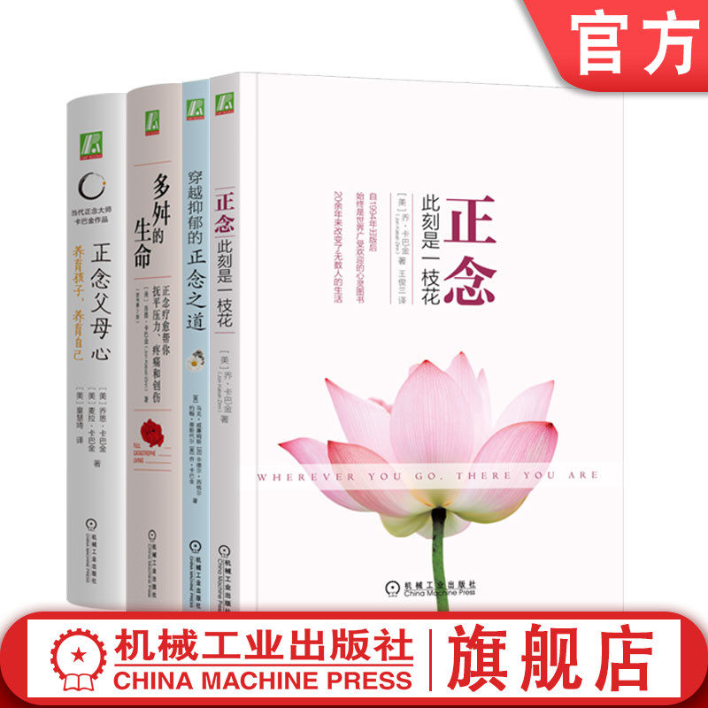 套装 卡巴金心理学作品集套装全4册 正念 此刻是一枝花+多舛的生命+穿越抑郁的正念之道+正念父母心 正念减压心灵疗愈心理学书籍
