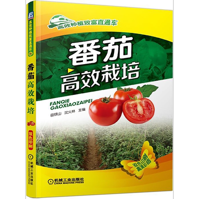 官网正版 番茄高效栽培 苗锦山 沈火林 生育特性 优良品种 棚室设施设计建造 育苗技术 露地栽培 大拱棚 日光温室 病虫害诊断