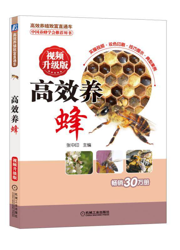 【正版书籍】高 效养蜂 视频升级版 张中印 养殖致富直通车 经典实用技术图书 农业技能培训教材 9787111595434 机械工业出版社