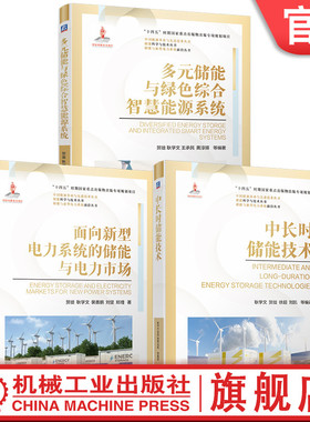 官网套装 国家出版基金系列 中长时储能技术+面向新型电力系统的储能与电力市场+多元储能与绿色综合智慧能源系统（全3册）