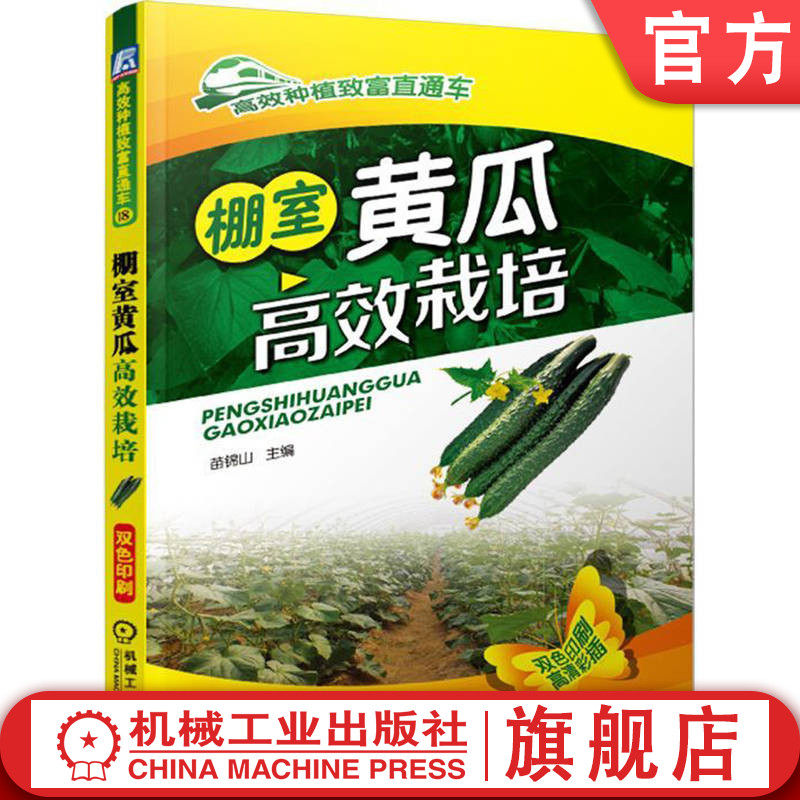棚室黄瓜高效栽培苗锦山