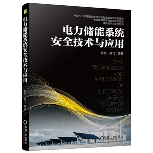 官网正版 电力储能系统安全技术与应用 惠东 高飞 标准体系 管理制度 案例分析 风险分析 电池燃烧爆炸温度 电解液泄漏检测