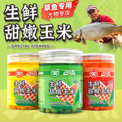 金龙挂钩玉米专攻大物