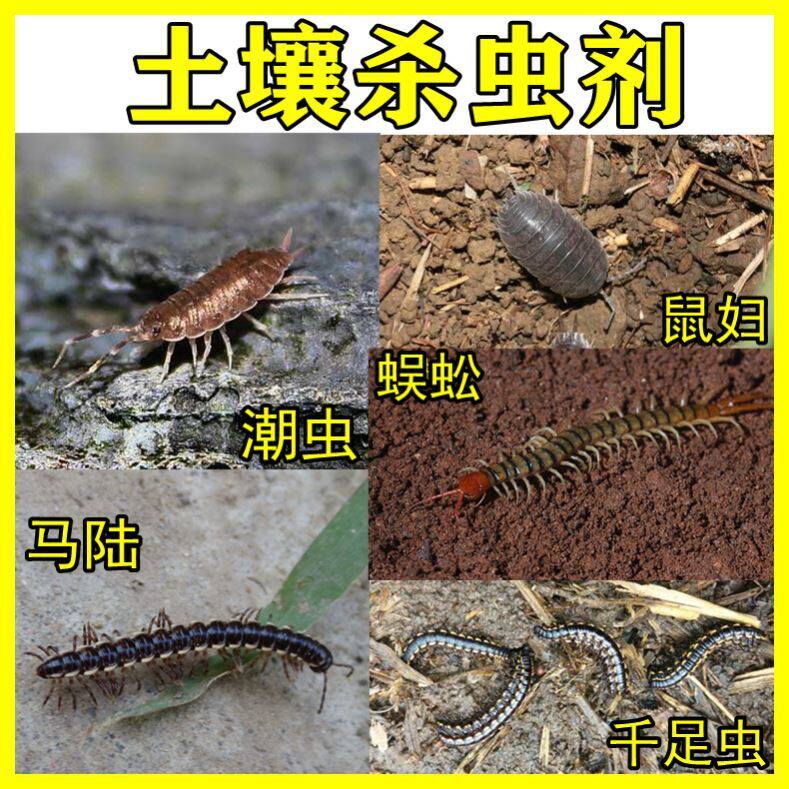 植物花卉杀虫剂土壤除花盆小飞虫小黑飞驱虫专灭花土盆栽室内通用