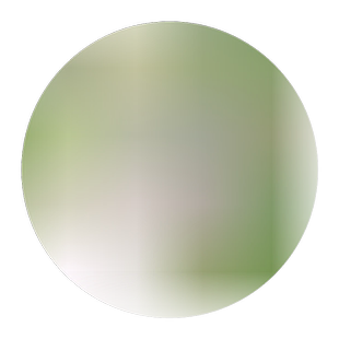 枸杞树苗宁夏红黑枸杞黄盆景盆栽地栽南北方食用保健蔬菜阳台庭院