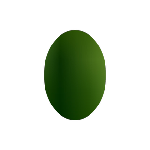 发财新款圃北海道围墙树苗庭院家庭黄杨树风景小型高杆耐寒家