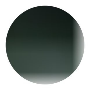 卫矛苗 卫矛小苗 胶东卫矛冬青卫矛 胶东卫矛苗四季常青绿化树苗