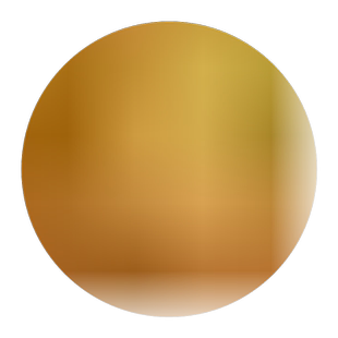 嫁接圆枣子树苗南方北方四季种植果树苗软枣子早脆王特大冬枣子苗