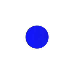 香橼树苗 香橼苗 香泡树柚子苗南北方种植盆栽地栽果树苗当年结果