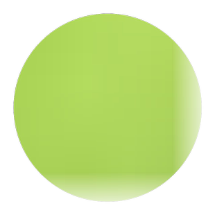 新釆日本矮麦冬草种子玉龙草 金边麦冬草种子园林绿化草坪苗种子