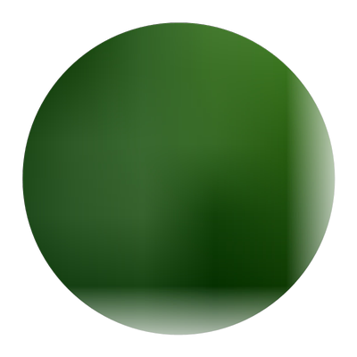 攀援爬藤植物美国五叶地锦苗子-爬山虎大苗--爬藤红叶爬墙虎花卉