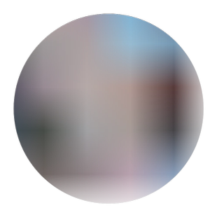 脆柿子树苗南方北方庭院室内种植无核日本甜柿子盆栽地栽大柿树苗