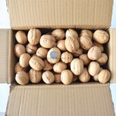 包邮 新二薄皮核桃新疆阿克苏温宿薄皮新货原味自产5斤散装 核桃