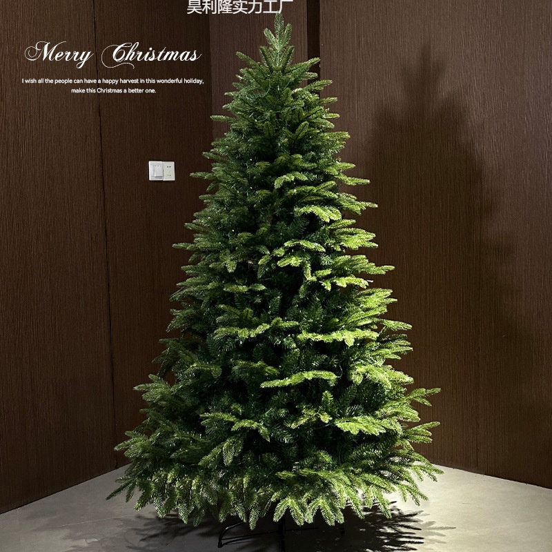 跨境pe圣诞树加密带灯christmas tree大型聖誕樹新款圣诞节装饰品