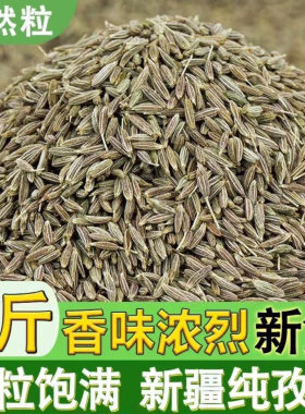 1斤新疆孜然粉烧烤专用撒料摆摊