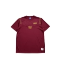 Nfl Burgundy Washington Chest Logo Embroidered T-Shirt