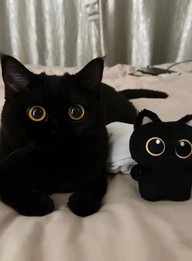 可爱小黑猫猫咪抱枕靠垫毛绒玩具