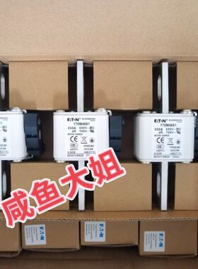 快速熔断器保险丝 170M4660/4661/4662/46