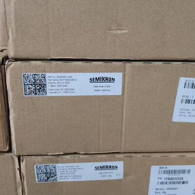 SKiIP 39AC065V2 SEMIKRON模块 德国原
