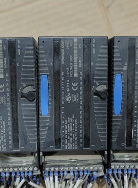 GE模块IC200MDL750E 实物图 功能完好。24VD