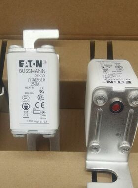 熔断器保险管170M2621、170M2658、170M26