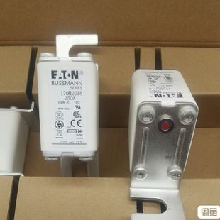 熔断器保险管170M2621 170M26 170M2658