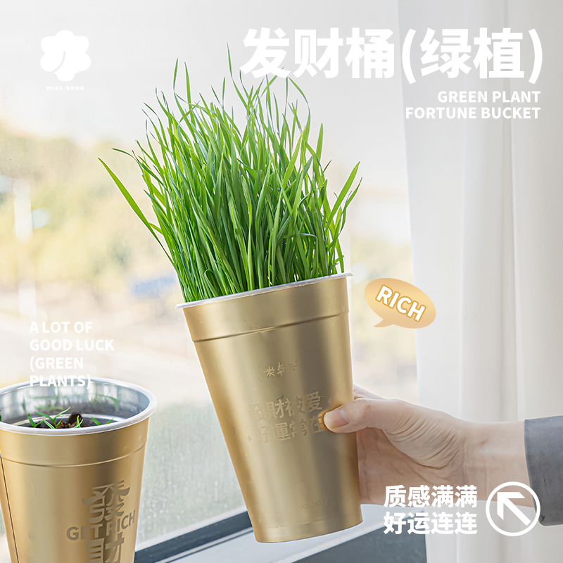 创意桌面绿植迷你植物摆件发财蔬菜四季种植桶办公室装饰儿童趣味