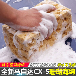 珊瑚海绵 蜂窝状 洗车海绵 擦车海绵 汽车海绵 海棉 吸水 不伤漆