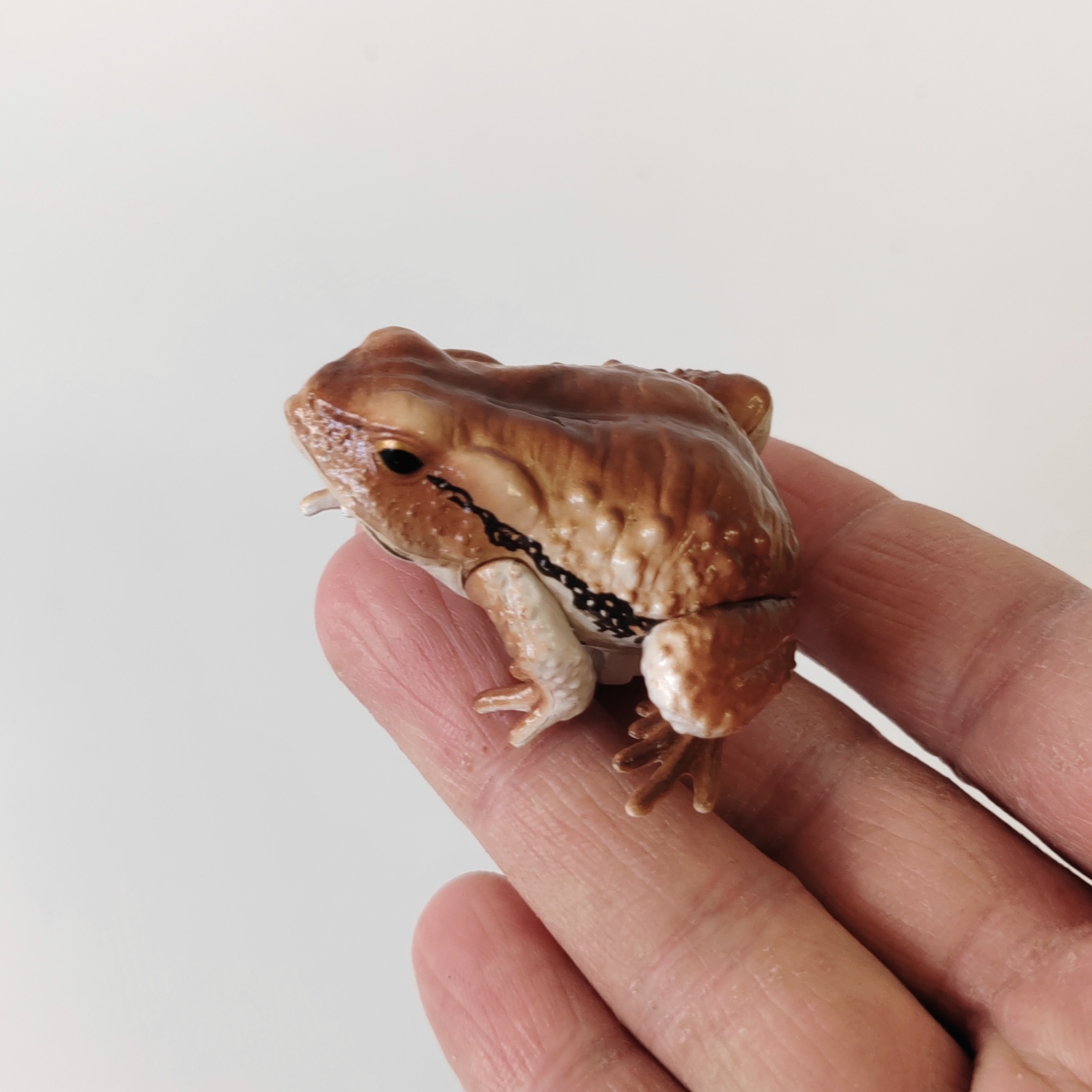 正版散货 日本扭蛋 Qualia蟾蜍 青蛙模型摆件手办