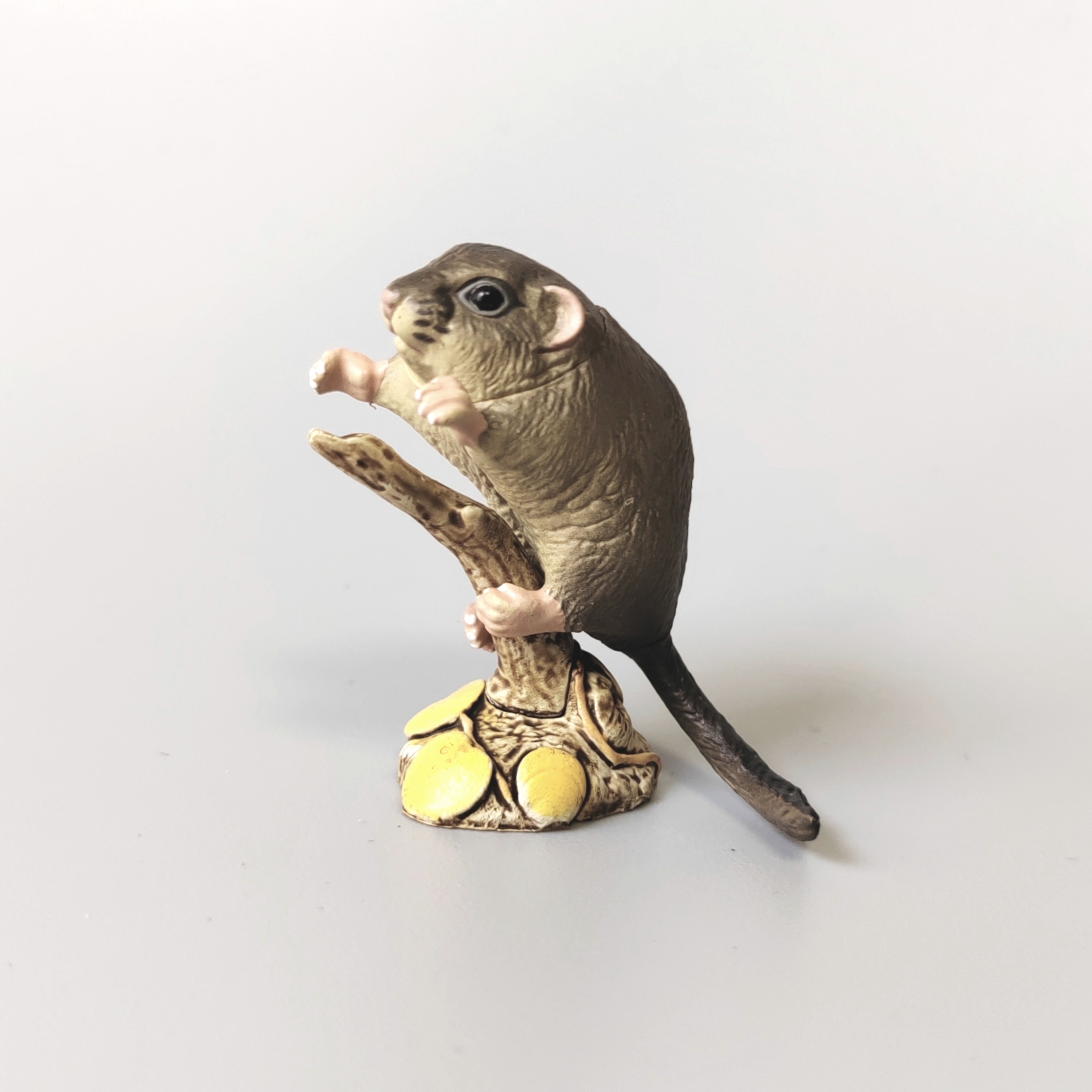 海洋堂天然纪念物动物摆件模型 限定异色日本睡鼠虾夷鼯鼠