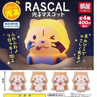 现货日本梦屋正版扭蛋 植绒可爱浣熊 浣熊拉斯卡尔公仔小夜灯摆件