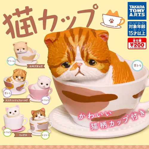 现货 日本正版 TOMY 多美 咖啡杯上的猫咪 幼猫摆件 扭蛋