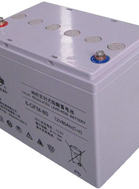 双登蓄电池6-GFM-40铅酸12V100AH24AH38AH40AH65AH200AH150AH