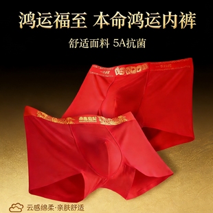 新年大红士内裤莫尔结婚本命年腰头个性潮流印花内裤士