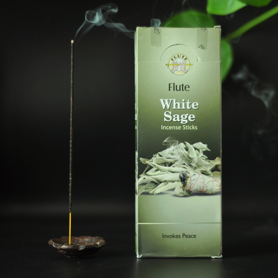 FLUTE净化印度白鼠尾草