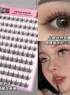 NBVB免胶100簇犬系假睫毛懒人小奶狗漫画超软眼睫毛超自然果冻胶