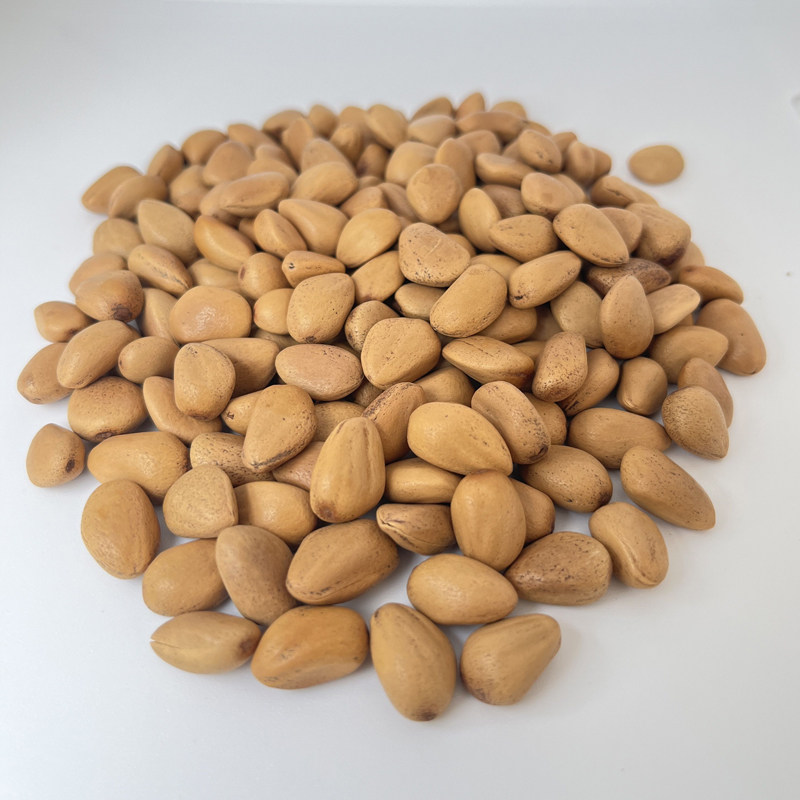 新货甘肃天水薄皮松子原味干炒干果炒松子年货孕妇零食500克包邮