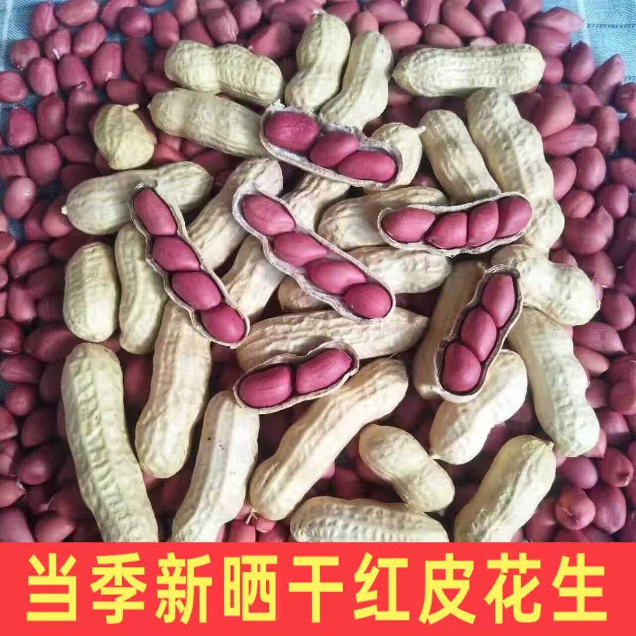 官方推荐2024年新鲜红皮生花生带壳晒干四粒红花生种子小原味现炒