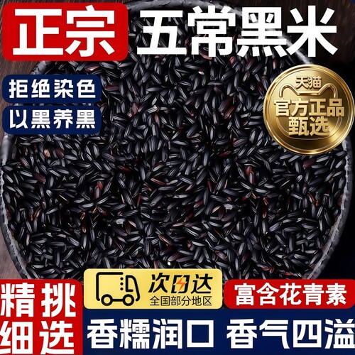 东北黑米2025新米正宗香米