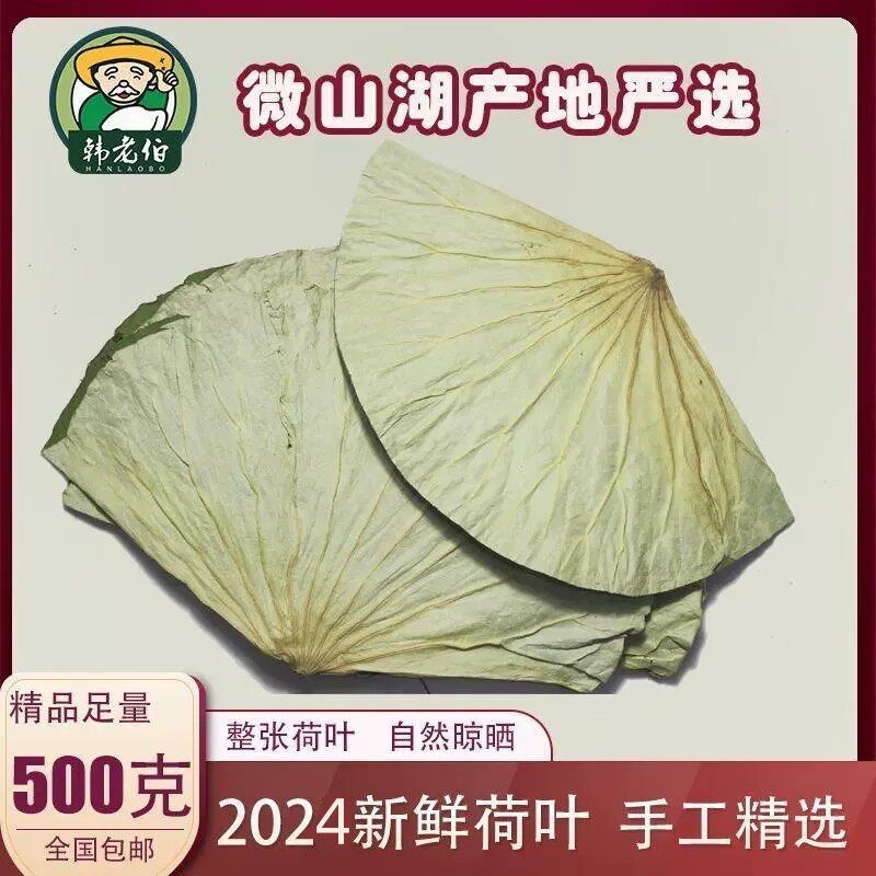 干荷叶整张500克荷叶鸡糯米