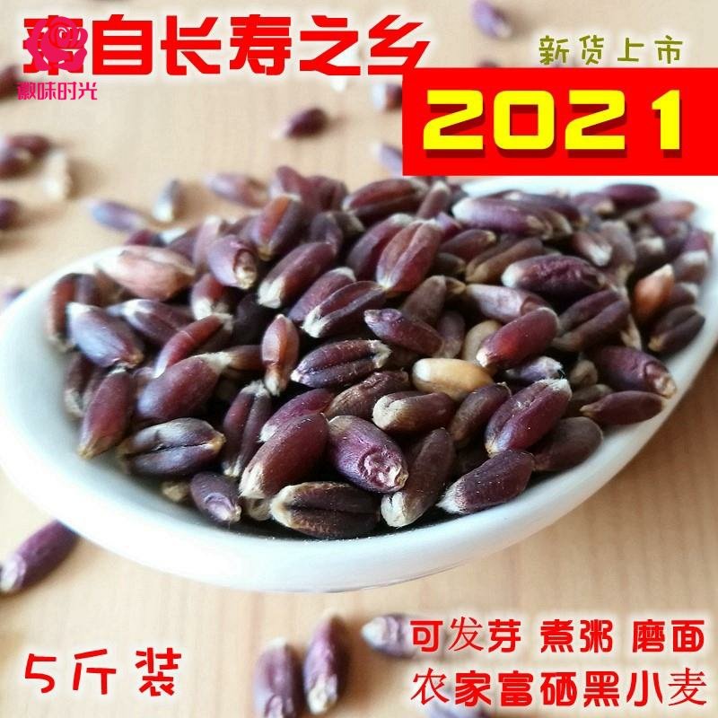 新农家富硒黑小麦粒5斤 小麦苗种子带皮黑麦黑麦粒麦子可发芽麦草