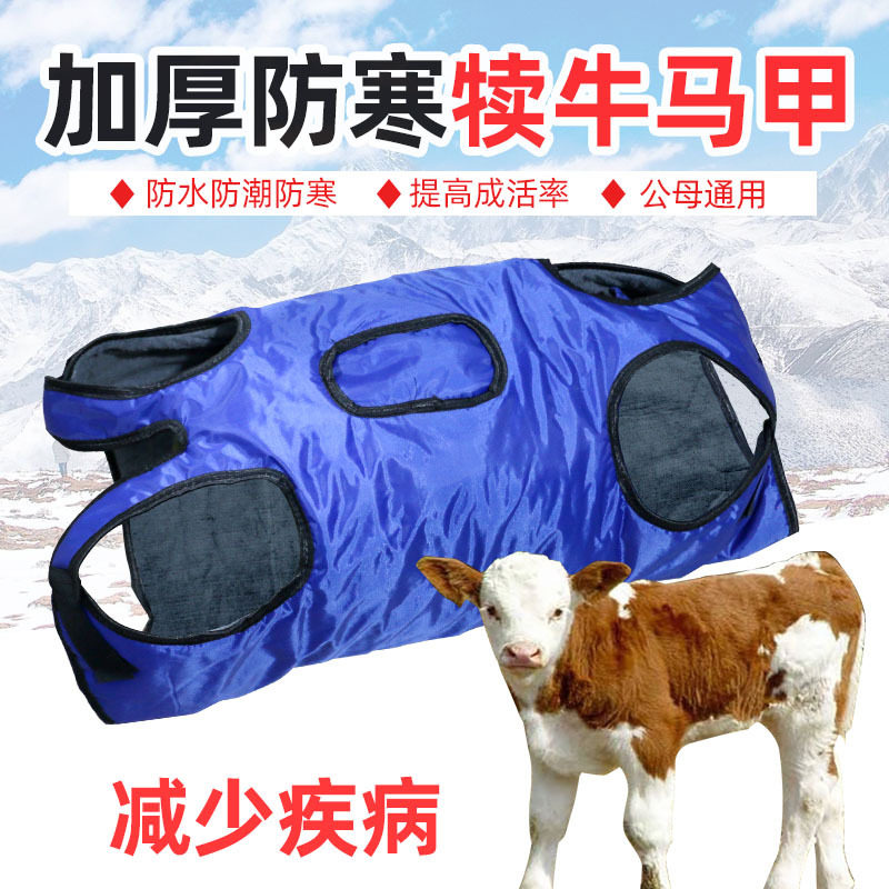 犊牛马甲加厚牛马甲小牛加厚防寒马甲牛犊子保暖防水棉衣犊牛衣服