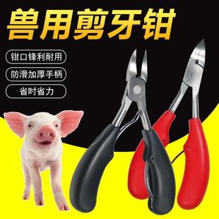 小猪剪牙钳仔猪断牙牙剪兽用猪用剪牙器仓鼠不锈钢兔子斜口齿剪子