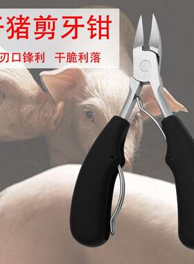 兽用钳子剪刀兔子养殖场用牙齿