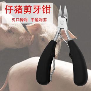 不锈钢仔猪剪牙钳用剪齿钳兽用钳子剪刀兔子养殖场用牙齿