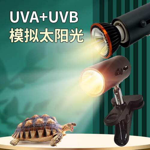 乌龟专用晒背灯爬宠保温