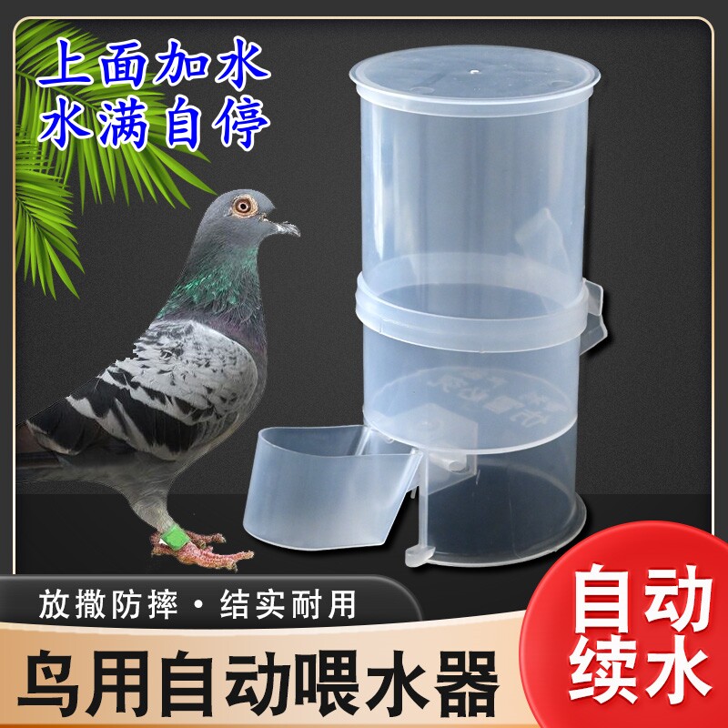 自动小鸟喂水喂食器鸟禽