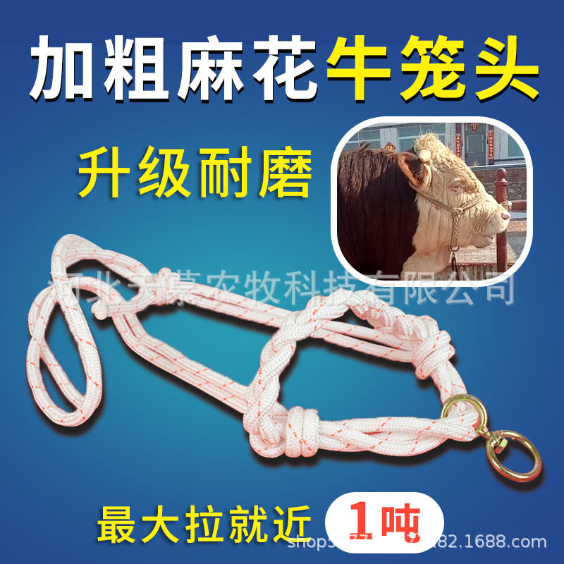 拴牛头套子牛笼头套加粗牵牛绳子栓牛脖套笼套牛缰绳子养牛场设备 - 实物图